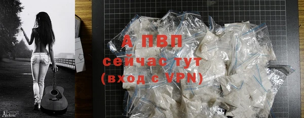 метадон Богданович