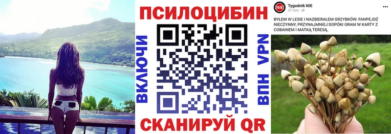 Купить закладки  Железноводск  Галлюциногенные грибы Psilocybe 